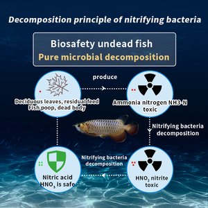 Bq N1 Probiotica Aquariumsystemen 50Ml 500Ml 5l Zoet-En Zeewater Aquatische Tank Nitrificerende Bacteriën Met Nitrietverwijdering - Product Image 3