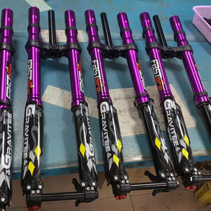 Tùy chỉnh fastace ahx12rv alx13rc 3.0V 60pounds phía trước ngã ba hệ thống treo cho surron <span class=keywords><strong>MTB</strong></span> điện Dirt xe đạp ngã ba - Product Image 1