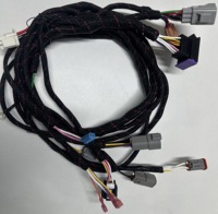 Fabricantes Chinos de Arneses de Cables Personalizan Arneses de Cables Automotrices, Arneses de Cables para Automóviles, IATF16949 para Cobre Puro