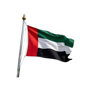 Agente di Spedizione Marittima, Spedizioniere dalla Cina agli Emirati Arabi Uniti - Product Image 2