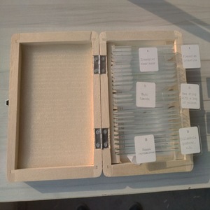Portaobjetos de microscopio, muestras biológicas, cajas de madera, muestras didácticas, varios conjuntos de muestras, animales y plantas - Product Image 2