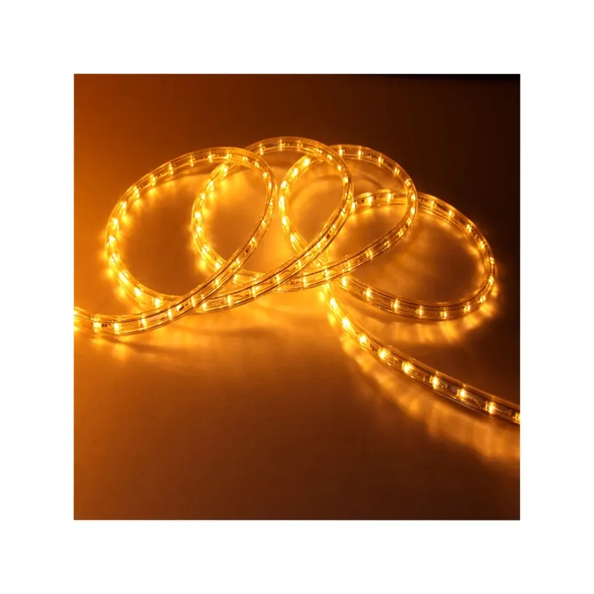 100L Waterproof Color Changing Decoration LED Rope Light