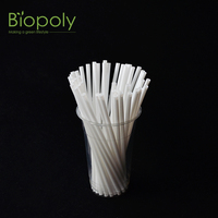 Ensemble de bâtonnets mélangeurs jetables en plastique blanc avec support, pailles à cocktail pour bar, whisky et fournitures de fête à domicile