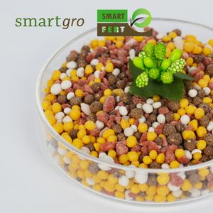 Fertilizante Premium compuesto agroquímico perfecto para palmeras y cultivos etapa de vivero Soluble en agua con urea recubierta de polímero - Product Image 2