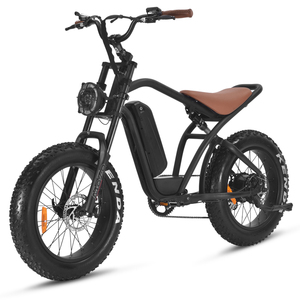 Bicicleta de Montaña Vintage con Suspensión Completa y Neumáticos Anchos, 20 Pulgadas, Bicicleta Eléctrica Todoterreno con Batería de Litio en el Buje Trasero de 48V, Fat Boy Ma - Product Image 6