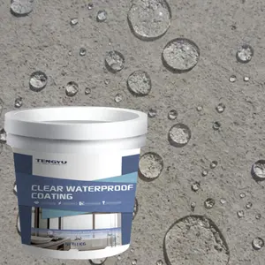 Buitenmuur 100G 300G Waterdicht Doordringende Transparante Nano Waterdichte Coating