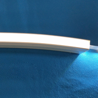 Le tube au néon flexible de silicone de 12*20mm a mené le diffuseur séparé de la bande menée