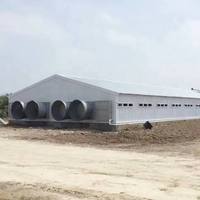 Abri pour poulets en structure acier XYSS, construction rapide, entièrement galvanisé, maison préfabriquée Ganadaria adaptée aux régions tropicales