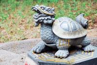 Statue de dragon et de tortue chinoise sculptée traditionnelle en pierre de marbre et de granit, avec pierre naturelle et surface polie