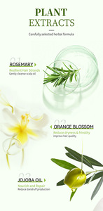 Shampoo à la menthe et au romarin pour lutter contre les pellicules, contrôler l'excès <span class=keywords><strong>de</strong></span> sébum et obtenir des cheveux doux et soyeux - Product Image 3