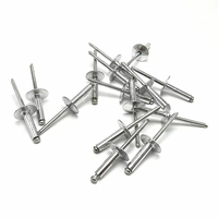 Fabricant chinois, Meilleure vente : Rivet en aluminium à tête plate large, à pincer, pour retenir les noyaux de pompe