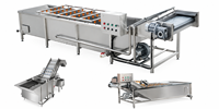 Commerciële SS304 groente- en fruitbelwasmachine met hoge druk luchtbellen voor voedselverwerkingsfabrieken
