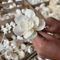 Fleurs de cerisier en bois de Sola faites à la main en gros pour diffuseur de parfum, bouteille de parfum, décoration intérieure