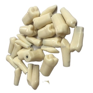 Dientes de repuesto con bobina de metal para 263, modelo de diente, entrenamiento de dentista educativo para simulador de cabeza fantasma, 32 Uds. Cada juego - Product Image 1