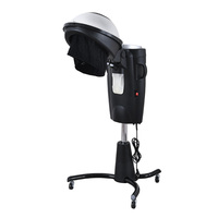 Appareil à vapeur multifonctionnel à micro-brume pour les cheveux Équipement de salon Accélérateur de sèche-cheveux avec LED Machine de spa pour cheveux debout