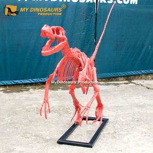 <span class=keywords><strong>Esqueleto</strong></span> <span class=keywords><strong>de</strong></span> <span class=keywords><strong>dinosaurio</strong></span> <span class=keywords><strong>de</strong></span> fibra <span class=keywords><strong>de</strong></span> vidrio fósil <span class=keywords><strong>de</strong></span> resina My Dino con nuevo estilo <span class=keywords><strong>Velociraptor</strong></span> rosa para - Product Image 1