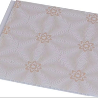 Panneau de plafond PVC à rainures et languettes haute brillance, largeur 25 cm