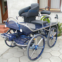 Chariot de course électrique 4 roues en acier pour poney - Nouveauté en promotion