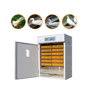 Fully Automated High Capacity Large-Sized <b>Incubator</b> for Goose Duck Chicken & Reptile <b>Eggs</b> with 98%-100% Hatching Rate - Product Image 1