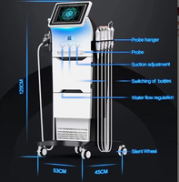 Appareil d'hydrodermabrasion, machine de beauté hydro, blanchiment de la peau, hydratation, aqua peel, soin du visage