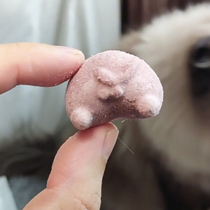 Il gatto FDA OEM tratta la cellulosa biologica liofilizzata e la patata dolce viola in polvere alimenti sicuri e personalizzabili per gatti all'ingrosso - Product Image 4