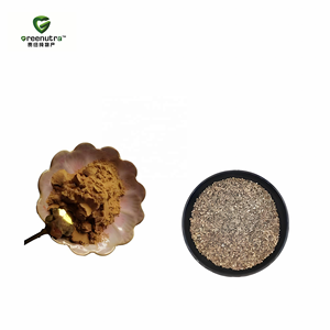 Fructus Kochiae Fruchtextrakt-Pulver 10:1 Kochia Scoparia Natürlicher Pflanzenextrakt für Nahrungsergänzungsmittel Lebensmittelqualität - Product Image 3