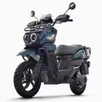 Moto électrique à 2 roues personnalisable avec logo, haute vitesse, 2000W 3000W, forte capacité de montée, scooter électrique tout-terrain pour adultes