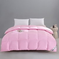 Couette plate en polyester rembourrée, imperméable, écologique, quatre saisons, nouveau style 2025