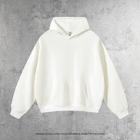 Sweat à capuche décontracté pour homme en coton épais 430G, personnalisable avec logo, fabricant de vêtements, pull-over grande taille, sweat-shirt unisexe vierge