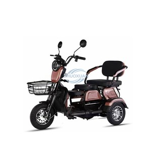 Passenger & Cargo Dual-Use 3 <b>Wheel</b> Leisure Electric Tricycle for Adults and Kids - Product Image 1