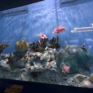 Feuille acrylique à haute transmission pour une visualisation <span class=keywords><strong>sous</strong></span>-marine vibrante et claire dans <span class=keywords><strong>les</strong></span> aquariums - Product Image 2