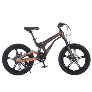 2025 Nieuwe Kinderen Magnesiumlegering Frame 20 Inch 7 Speed Schijfrem 2.35 Band Volwassen Fietsbuis Mannen Kinderen Mountainbike - Product Image 4