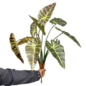 Feuilles de Taro Artificielles Meng Jie 30cm-100cm en PVC avec Base Gaufrée pour Décoration Intérieure et Arrangements Floraux - Product Image 5