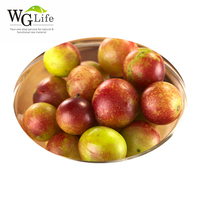 Prix d'usine Extrait de fruit de Camu Camu en poudre 10%-25% Extrait par solvant Qualité alimentaire Vitamine C en emballage en fût