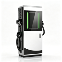 Borne de recharge DC 200 kW étanche IP54 avec double connecteur CCS2 pour véhicules électriques – Station de charge extérieure commerciale robuste