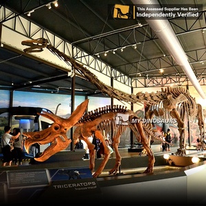 Increíble Esqueleto de Dinosaurio de Tamaño Real de la Serie V Fighting Dinosaurs - Product Image 4