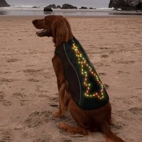 Premium Luxus Polyester Verstellbarer Sommer-Kühlmantel Atmungsaktives Mesh Leichtgewichtig Waschbar Bunter LED-Hundemantel für Weihnachten