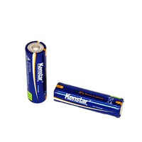 LR6 AA EN91AA Pile sèche primaire alcaline industrielle Bonne qualité 1.5V Nominal Télécommande Jouets Forme cylindrique Métal