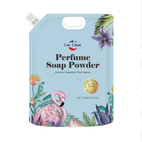 LC Chine Vente en gros Petit sachet d'emballage Logo personnalisé Parfum Couleur Chiffon de nettoyage Détergent Poudre à laver pour voyage