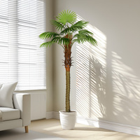 Grand palmier artificiel Robusta certifié UV de 2 m, 5 m, pour intérieur et extérieur, en plastique vert, pour décoration de bureau et aménagement paysager