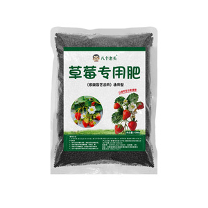 Engrais spécial pour fraises Eight Old Men, 1000g, granulaire, à libération lente, pour usage domestique en pot - Product Image 1