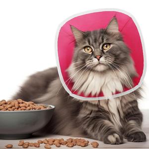 Collier anti-morsure réglable en tissu non tissé avec fermeture auto-agrippante pour chats et chiens de grandes, moyennes et gigantesques races - Product Image 5