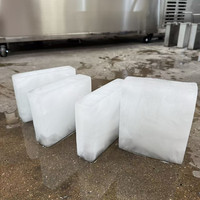 Machine de fabrication de blocs de glace 1 kg 500 kg à sortie quotidienne Machine à fabriquer des blocs de glace à vendre
