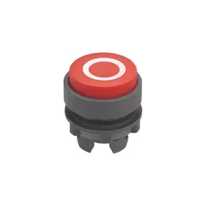 LAY4-EL432 plastic convex spring return mark push button switch with mark