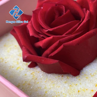 Gel de silice à petites granules pour la préservation des fleurs, gel de silice cristallin déshydratant pour fleurs séchées DIY