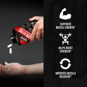 Capsules de créatine monohydratée de marque privée pour la croissance musculaire, la récupération et le soutien énergétique des adultes - Faible teneur en glucides - Product Image 5