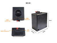 Máquina Pirotécnica Fría Ali D04 4Cue, Fuente Fría con Control Remoto Inalámbrico para Interiores y Exteriores