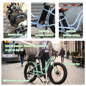 Vélo Électrique Deux Places Super Style 48V 750W, Vélo Électrique 250W 26 Pouces, Vélo Électrique à Succès Commercial - Product Image 3