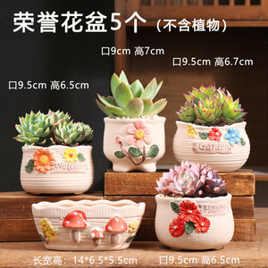 Maceta de Flores con Diseño de Casa de Dibujos Animados JM, Maceta 3D Hecha a Mano para Suculentas, con Múltiples Estilos para Plantas Verdes - Product Image 3