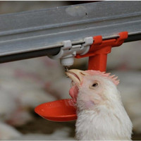 Nouvelles cages à poulets automatiques de type H pour l'élevage avicole avec mangeoire et abreuvoir, équipement d'élevage de poulets